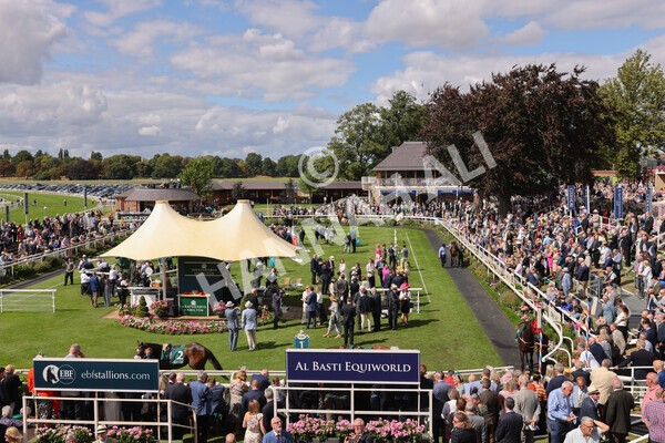 yr19082022r2-10 - Race 2 2.25pm Weatherbys Hamilton Lonsdale Cup (British Champions Series Race)