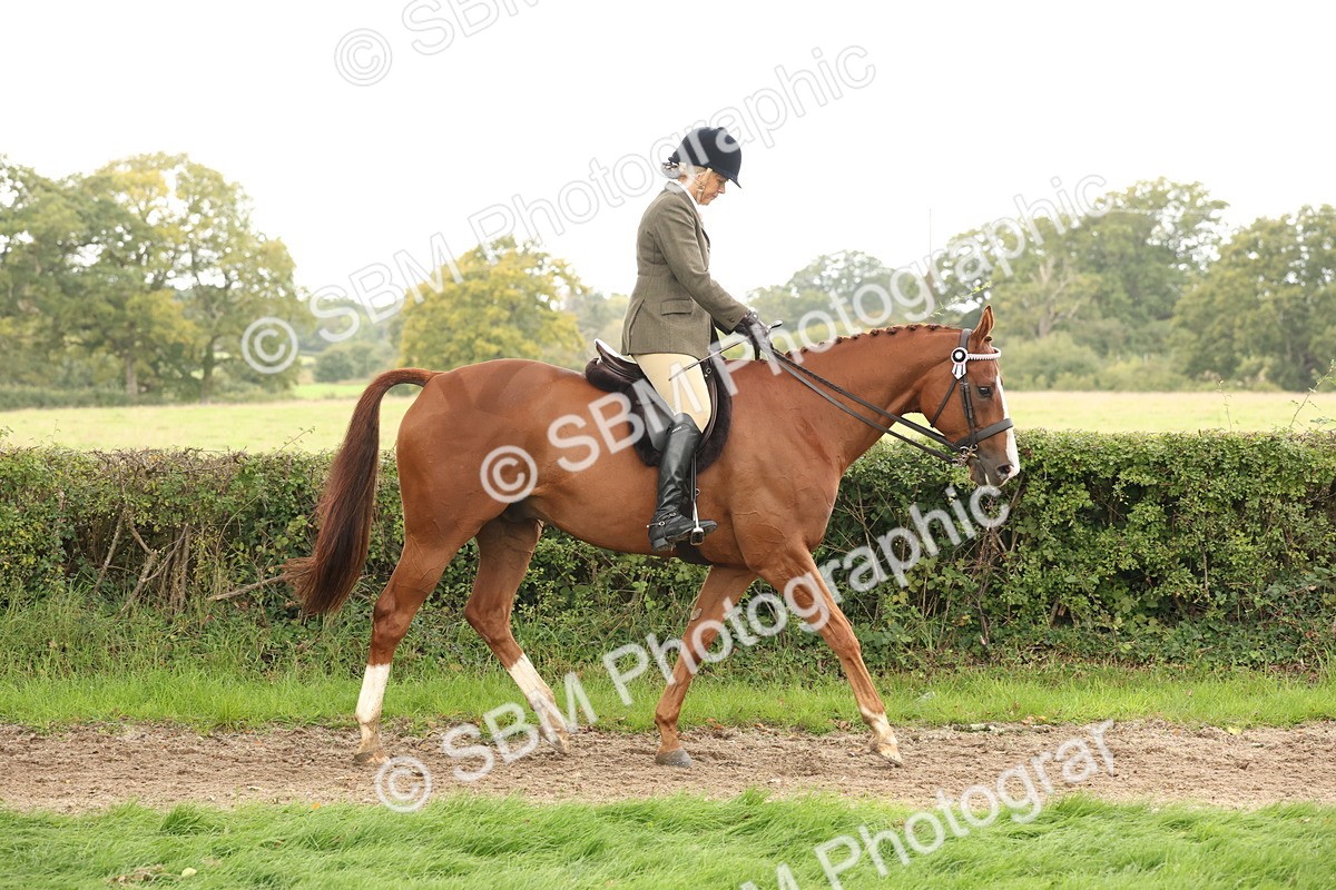 SBM_64147 - S65 - Riding Horse & Hack & Thoroughbred Ridden