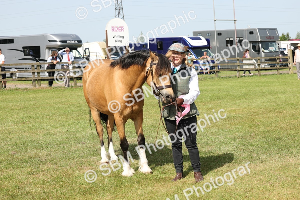 SBM_02169 - Class 6-13 - Mountatin and Moorland In Hand Welsh Breeds