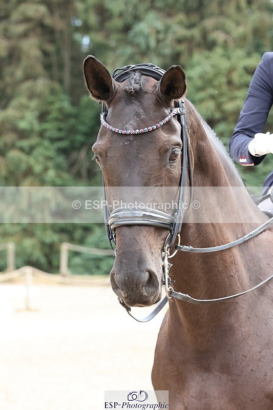 250809A-143204-03673 - PSG SILVER Presentations