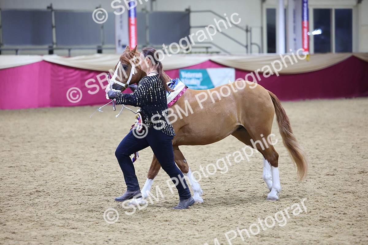 0B8A4440 - Class N M&M Champ