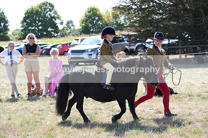 WJ6_7724 - Class 36 Lead Rein