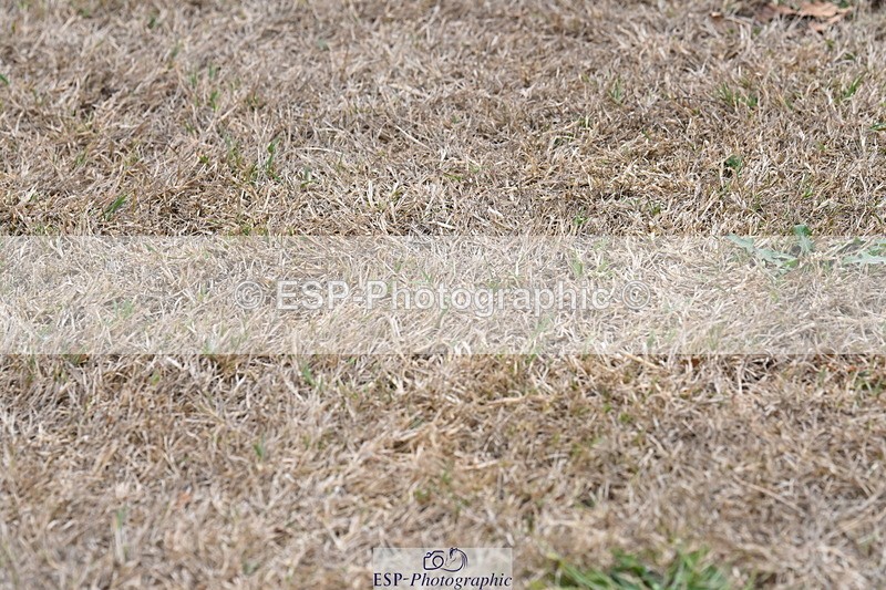 250820A-175346-12345 - Wednesday Presentations