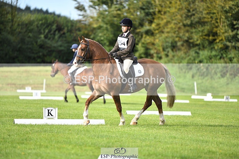 230826-091100-15039 - Sections C & D 9 to 10am