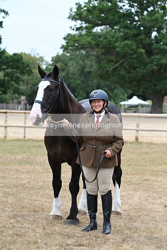 WJ7_0122 - Class 5a Most Handsome Gelding (above 14.2hh)