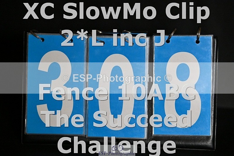 ESP_308 - C-308-Kevin.Mcnab