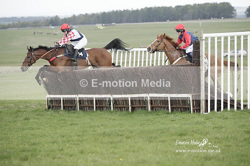 PtP 260323 0580 - New Forest Hounds Point-to-Point Larkhill 26/03/23