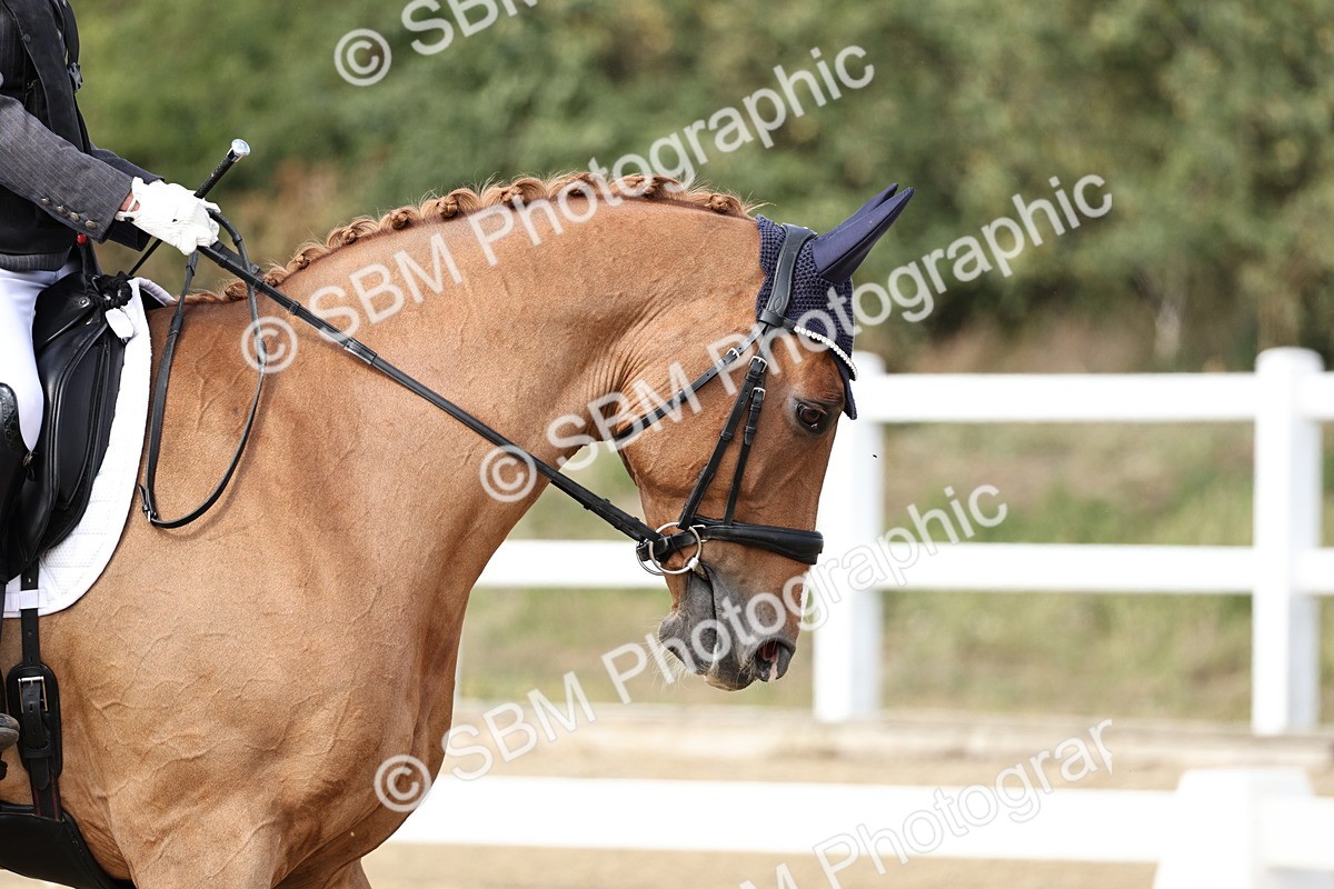 SBM_014647 - Class 5 - Elementary 4