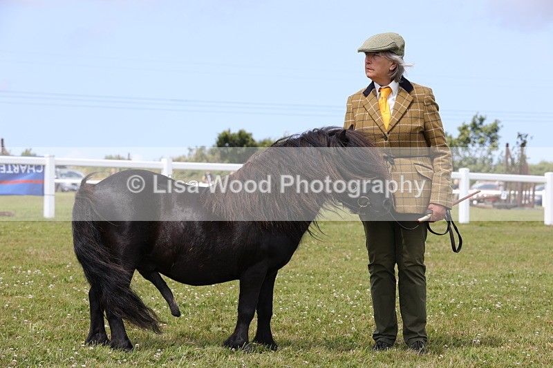 1X9A4804 - Class 35: Veteran In Hand