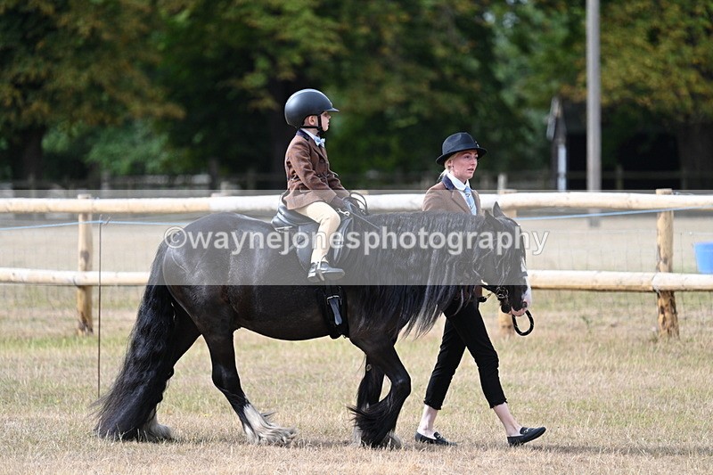 WJ7_6412 - Class 1 Lead Rein Pony