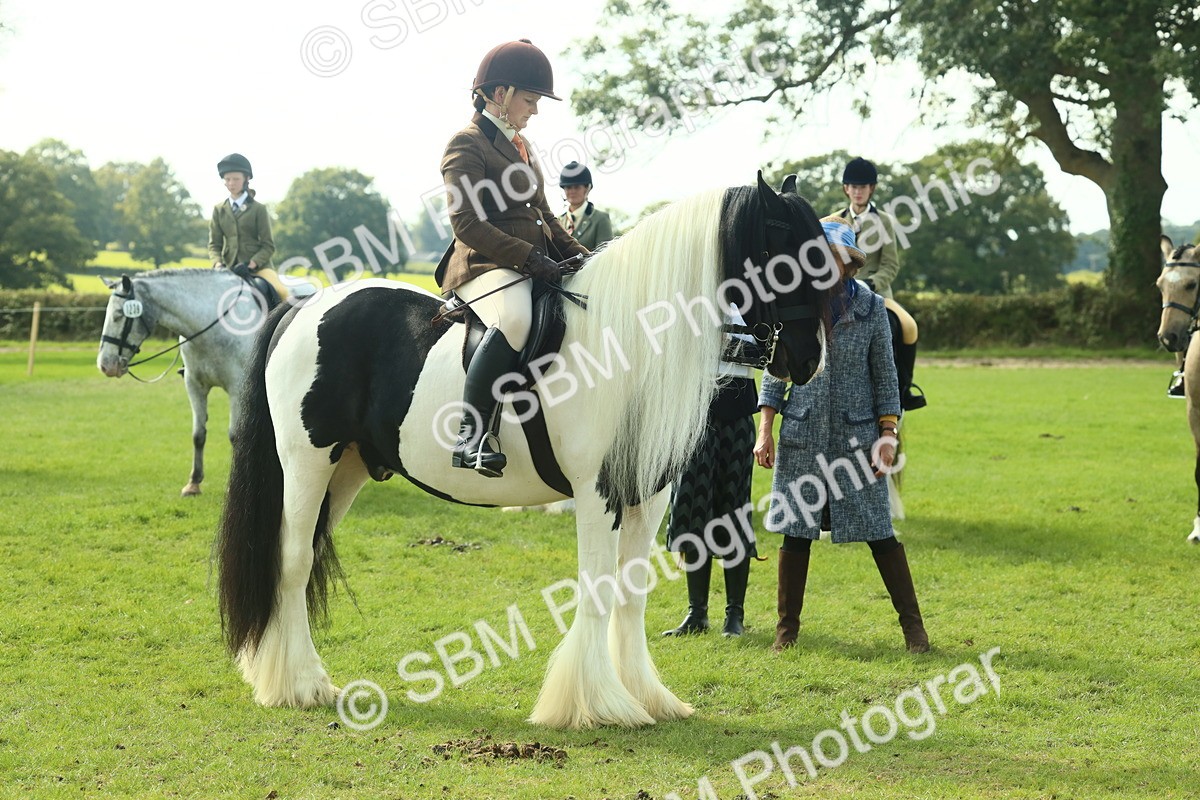 SBM_67669 - S56 - Coloured Pony Ridden