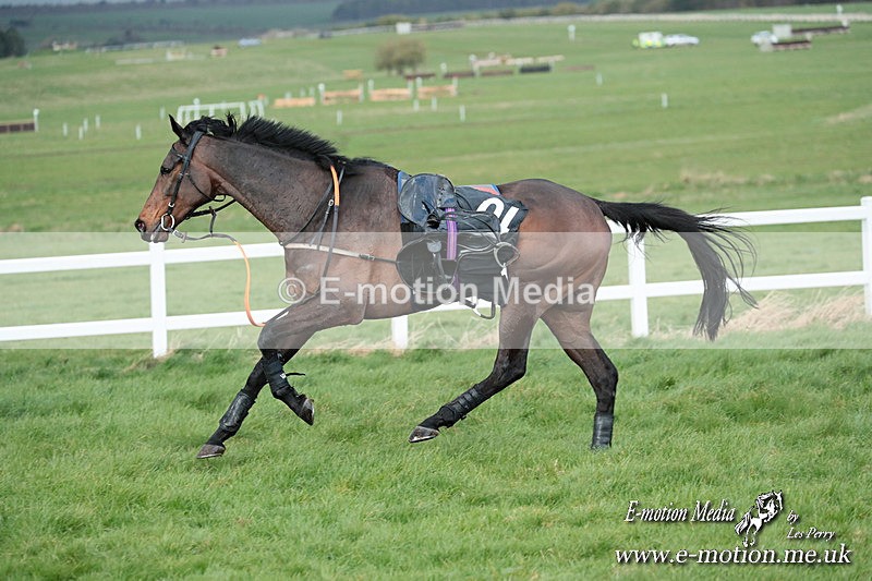 PtP 230324 906 - Tedworth Hunt PtP Larkhill Raccourse 23rd March 2024