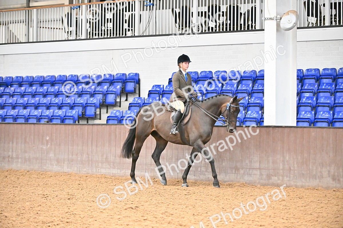 SBM_001880 - Class 25 - Tattersalls ROR Amateur Ridden