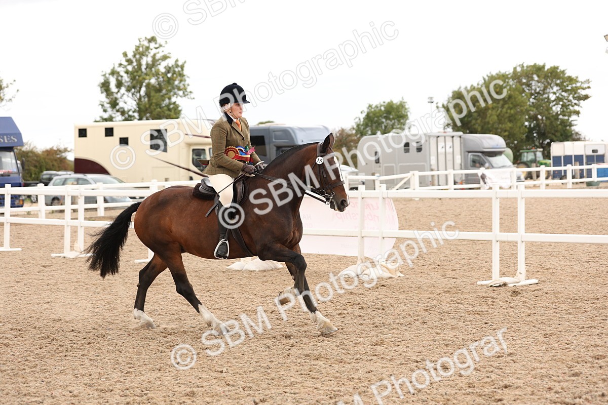 SBM_19609 - Class 215 - Ridden Show cob