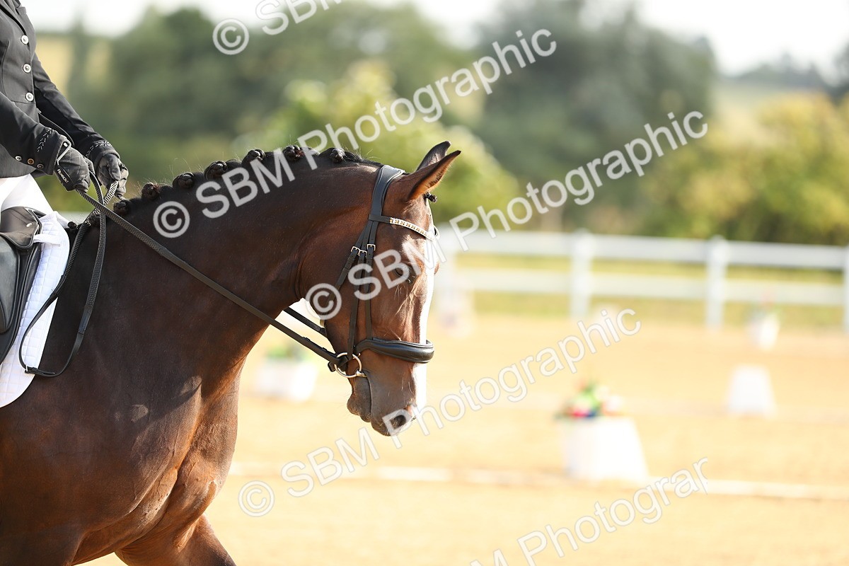 SBM_015016 - Class 13 - Novice 23 - 8,30-9.33