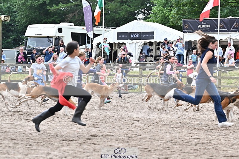 250524A-152841-12783 - East Devon Hounds