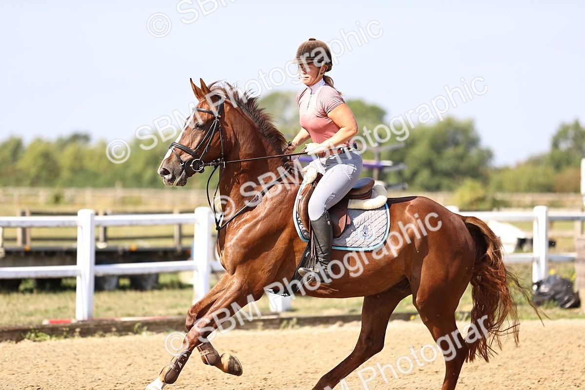 SBM_005616 - Class 9 - Senior British Novice - 90cm