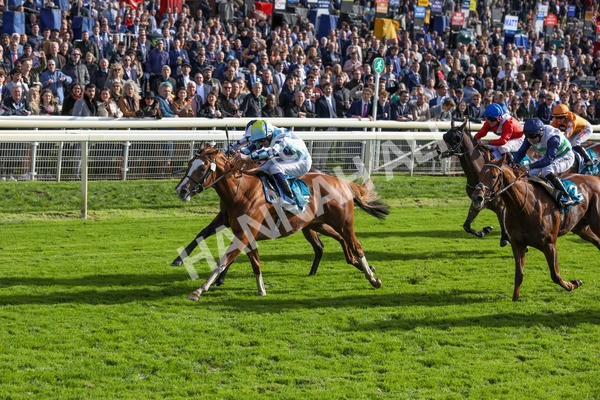 141023-Race 2-Whiskey Pete-0357 - Race 2 1.50pm Play Coral 'Racing-Super-Series' For Free Nursery Handicap