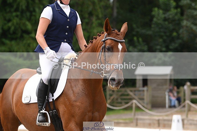 250719A-112400-04356 - 054-Dani.Wills-Greathill.Sahara