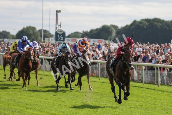 yr18082021r4-74 - Race 4 3.35pm Juddmonte International Stakes (British Champion Series race)