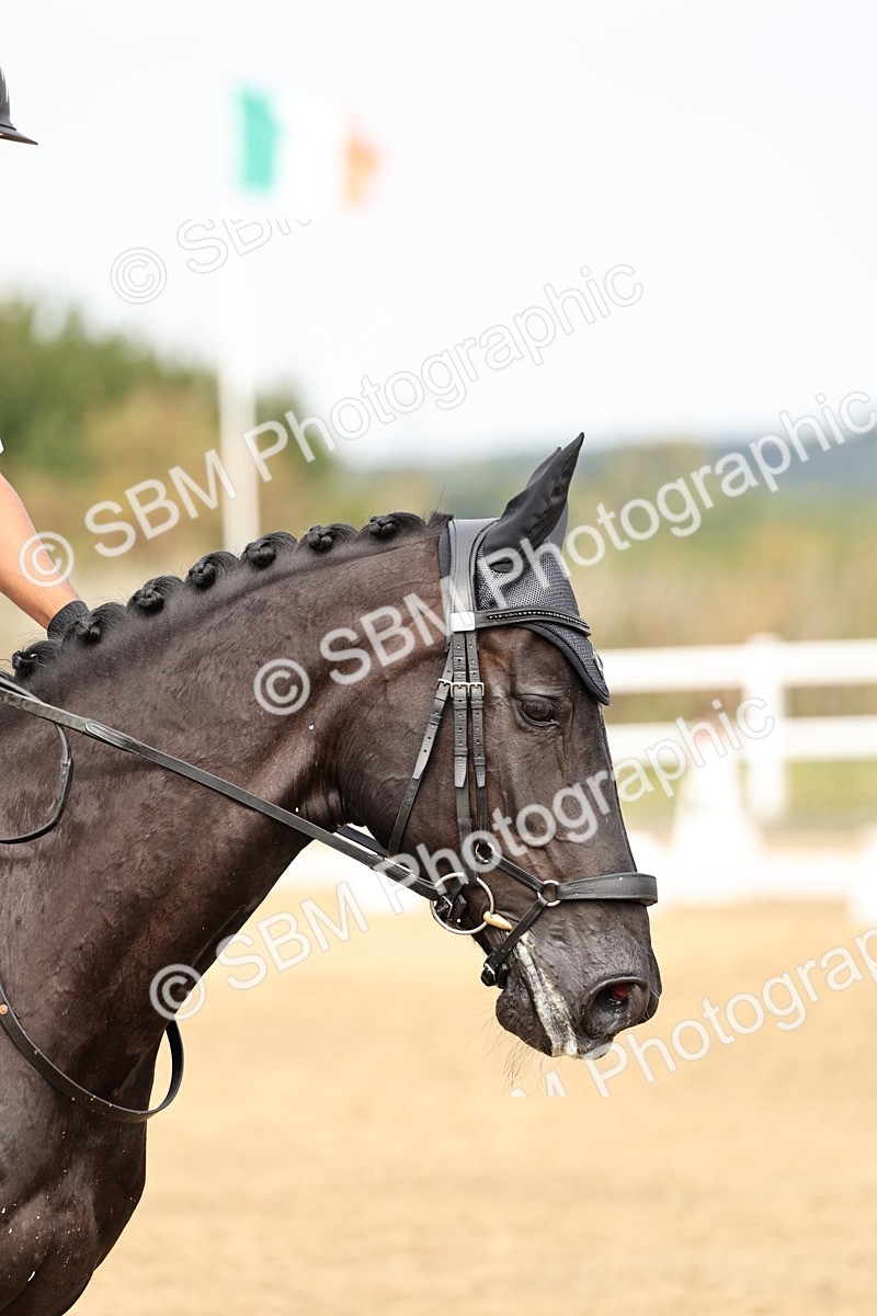 SBM_012378 - Class 2 - Prelim 5