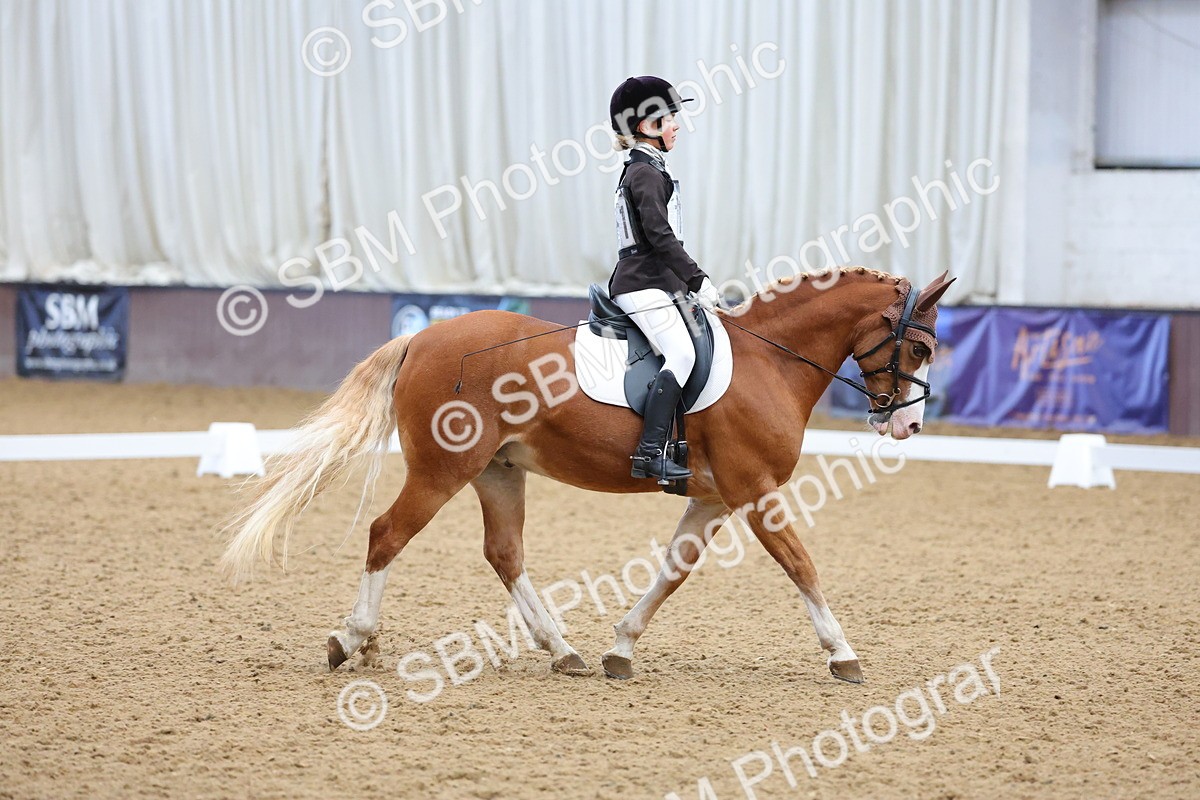 SBM_002955 - Novice