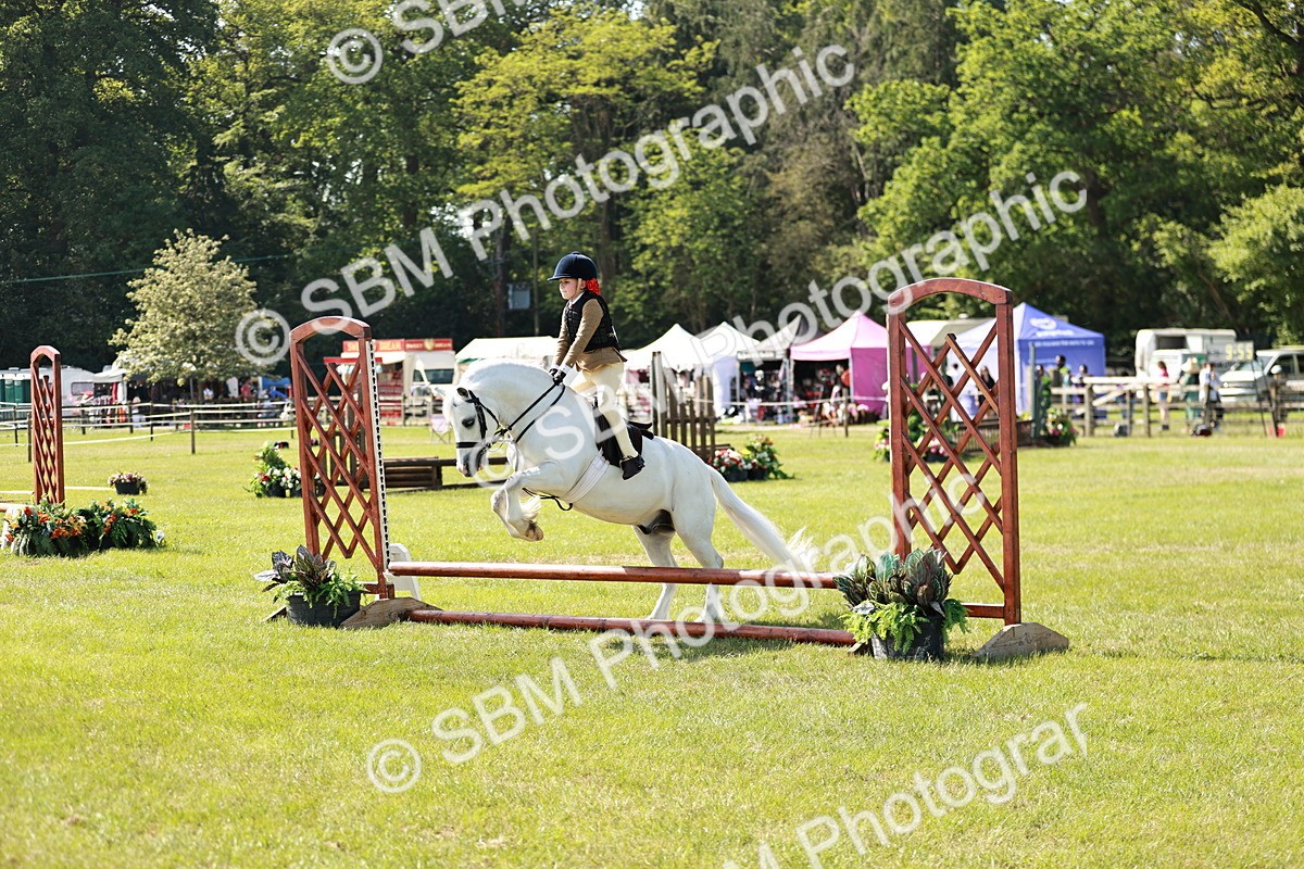 SBM_12751 - Class 106-107 - BSPS LIHS Working Sports Pony