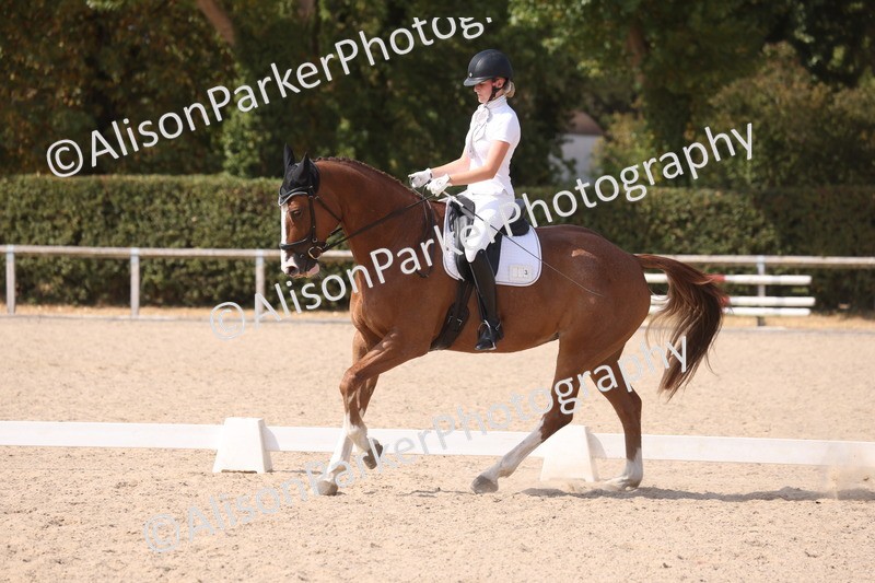 20260815-1149 - Class 6 - Novice 2