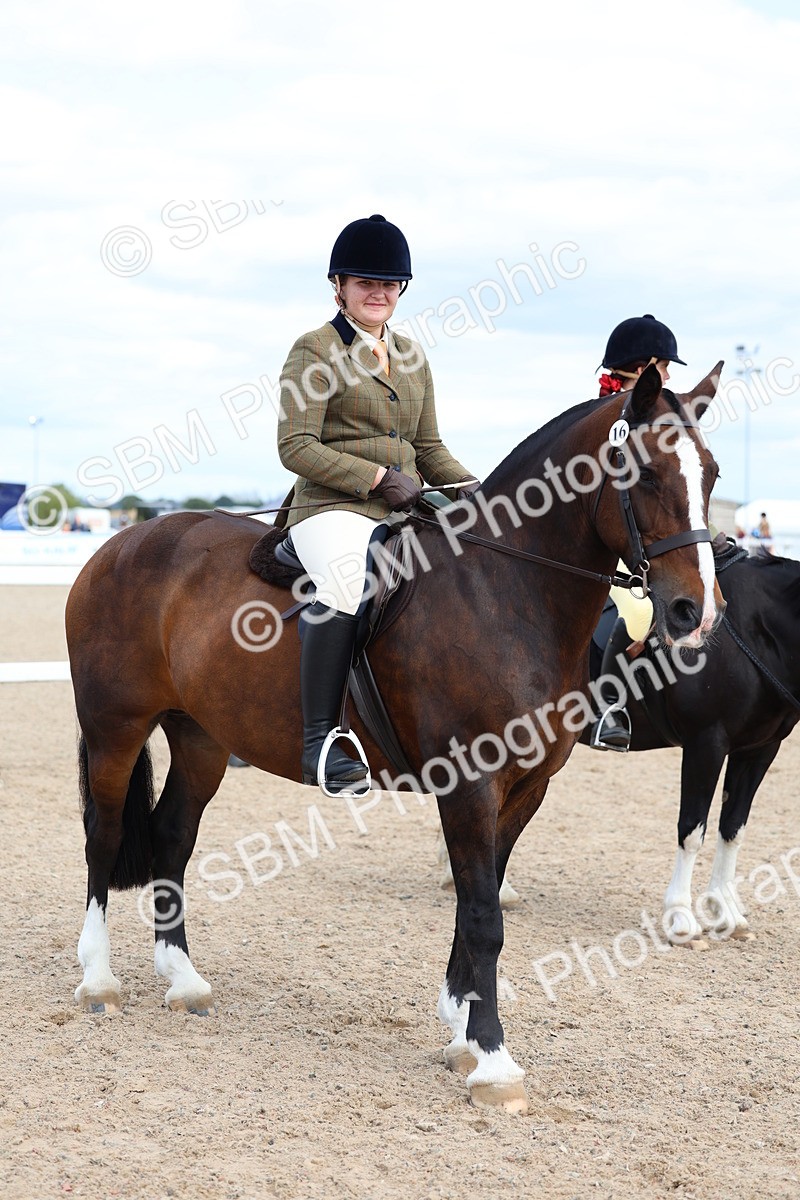 SBM_15832 - Class 314 - Family Horse - Pony