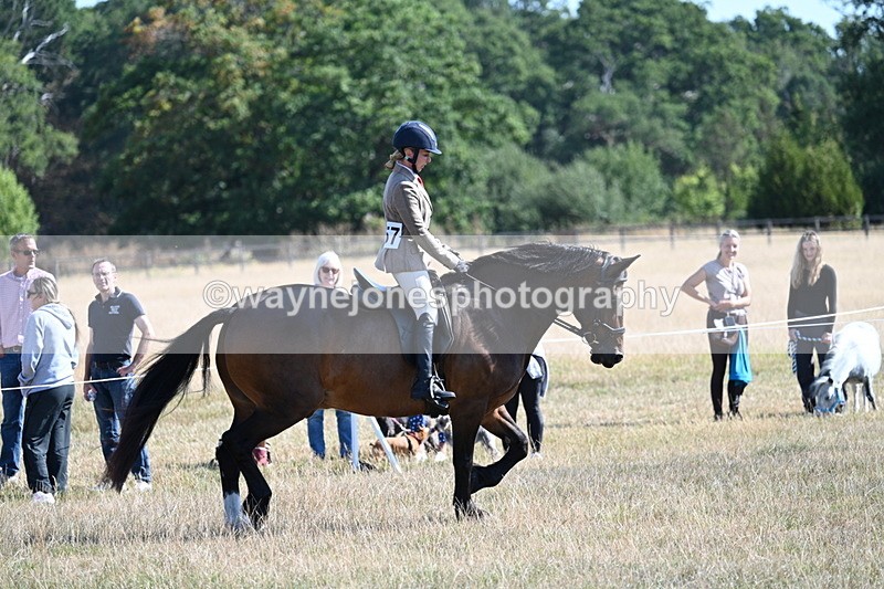 WJ7_3906 - Class 9 Mountain & Moorland Ridden
