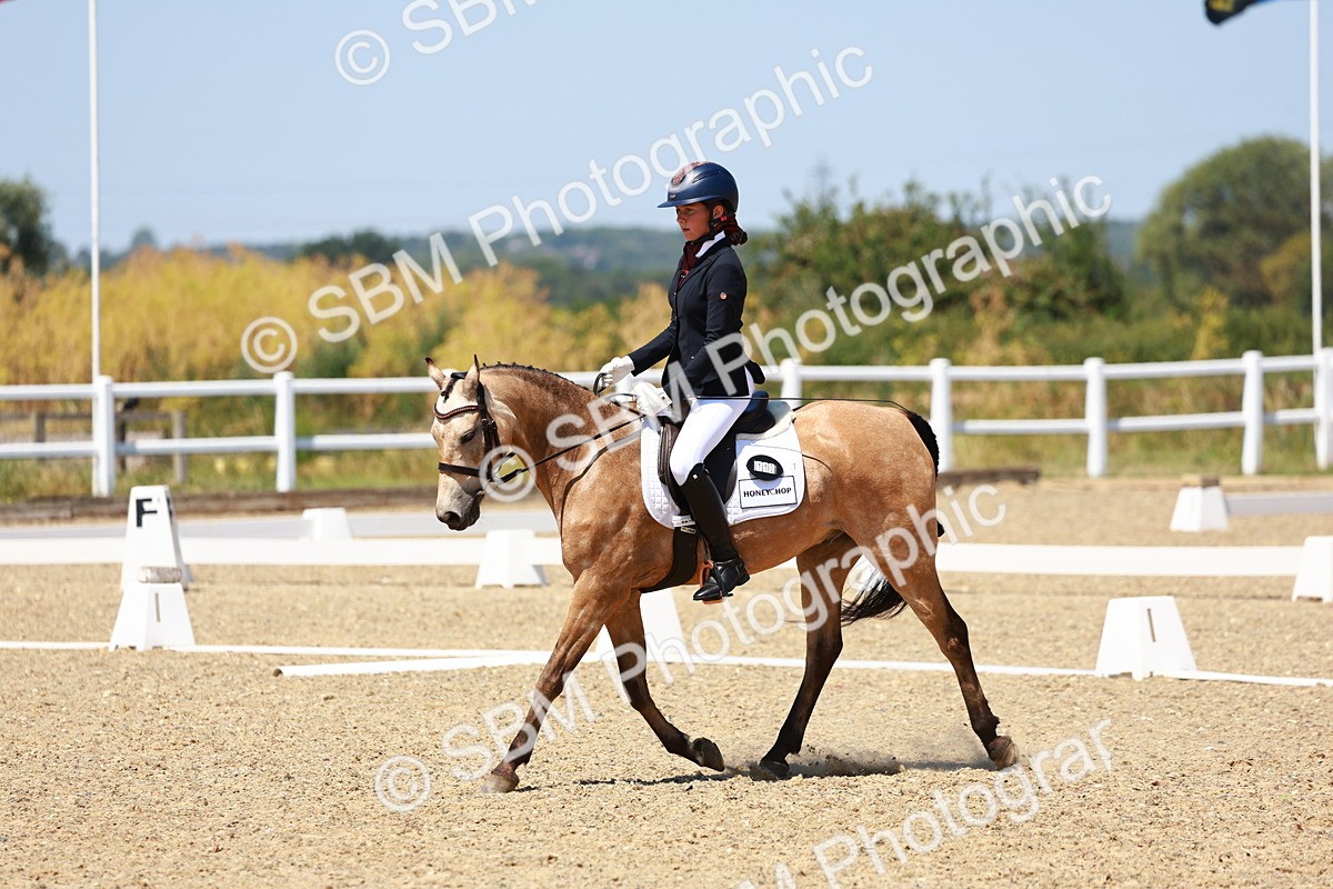 SBM_011628