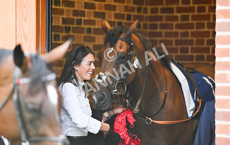 220826-184 Paddy The Squire - Race 4 15.35pm Sky Bet Ebor Handicap