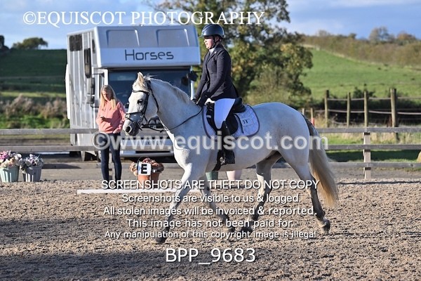 BPP_9683 - SHORT ARENA