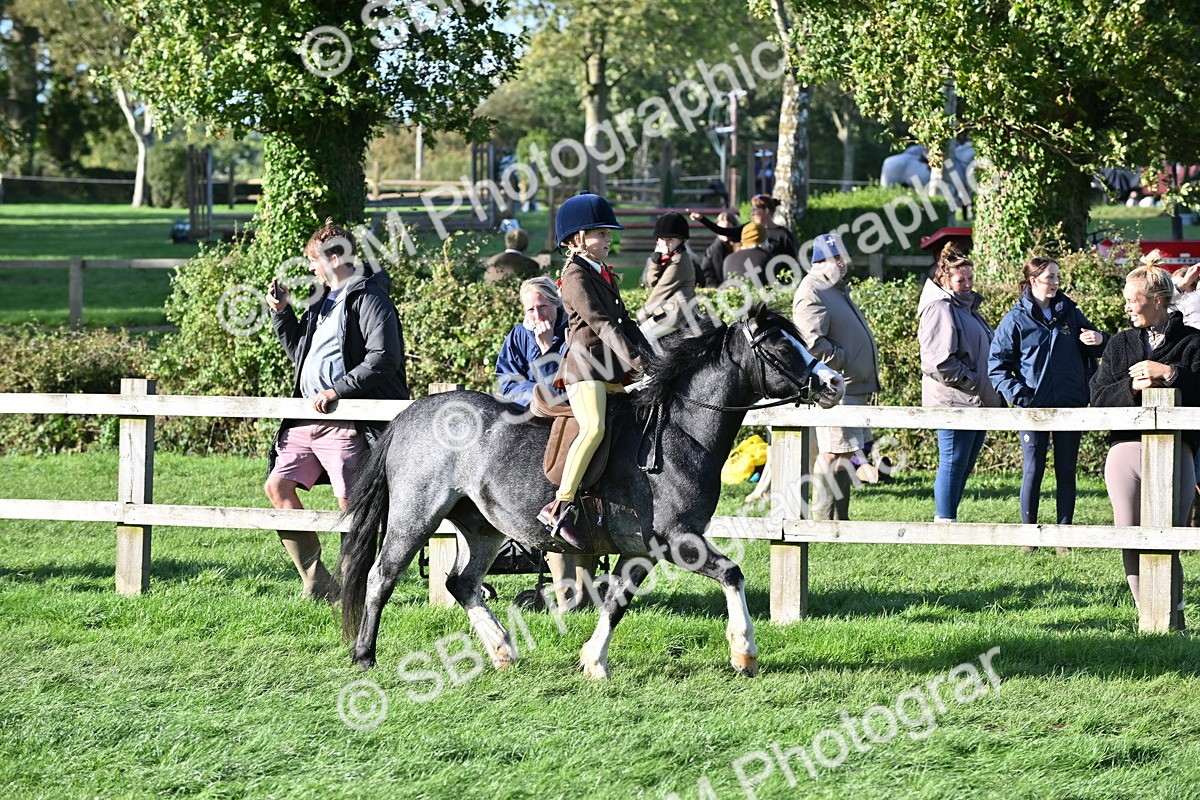 SBM_52993 - S23 - First Ridden Mountain & Moorland Pony