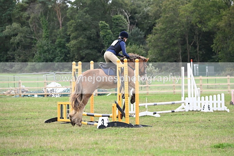 WJ6_0477 - 40cm Time 10:29 to 10:52