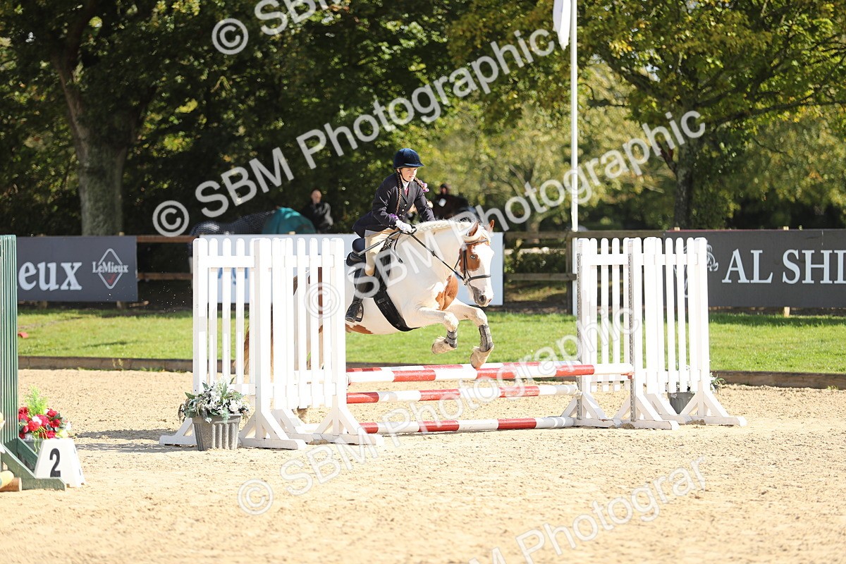 SBM_40183 - J21 - Junior Horse 60cm Championship