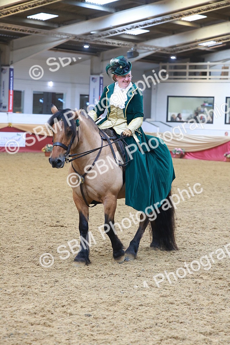 SBM_14816 - Class 108 - Ridden Costume - Astride Adult (20+)