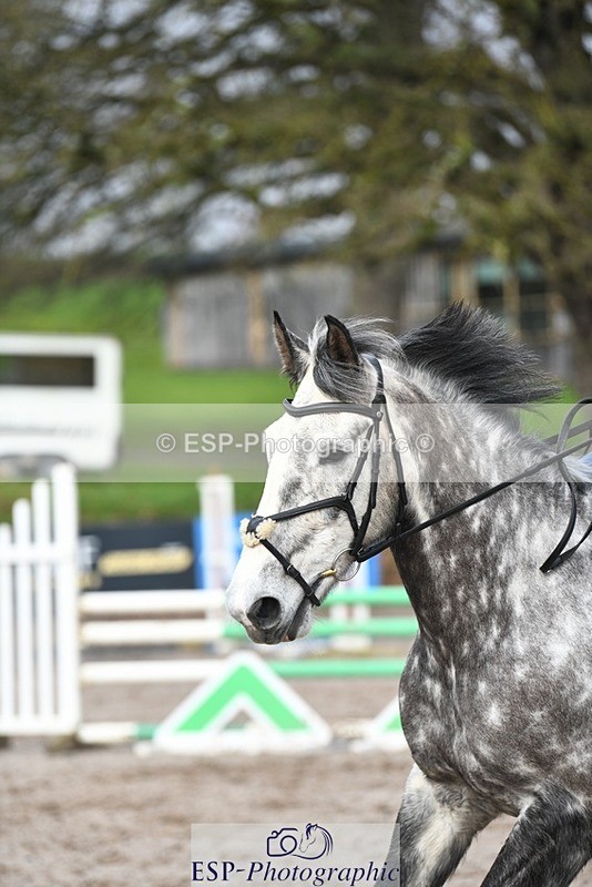 240218-113059-02196 - SJ 10 to 11