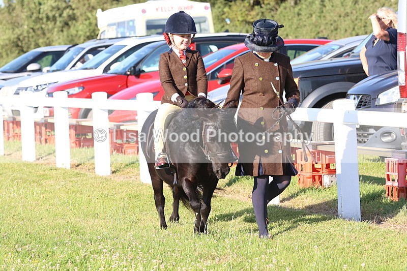 JPP_0652 - Class 16: Cornish Combination Leading Rein