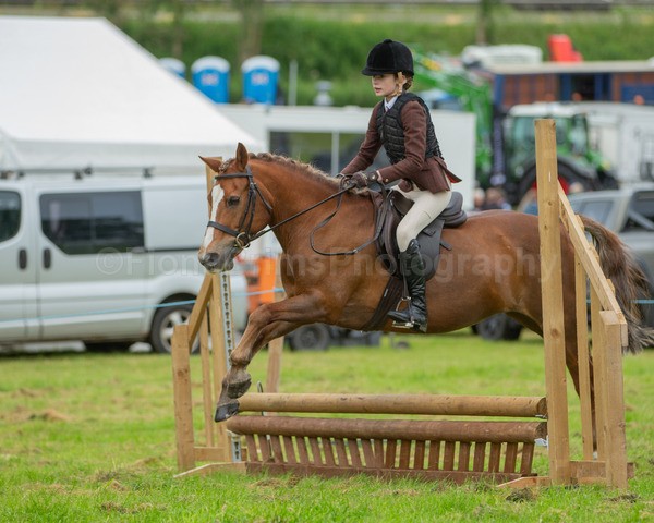 Dunblane show-104 - Dunblane and Doune Show Ring 1