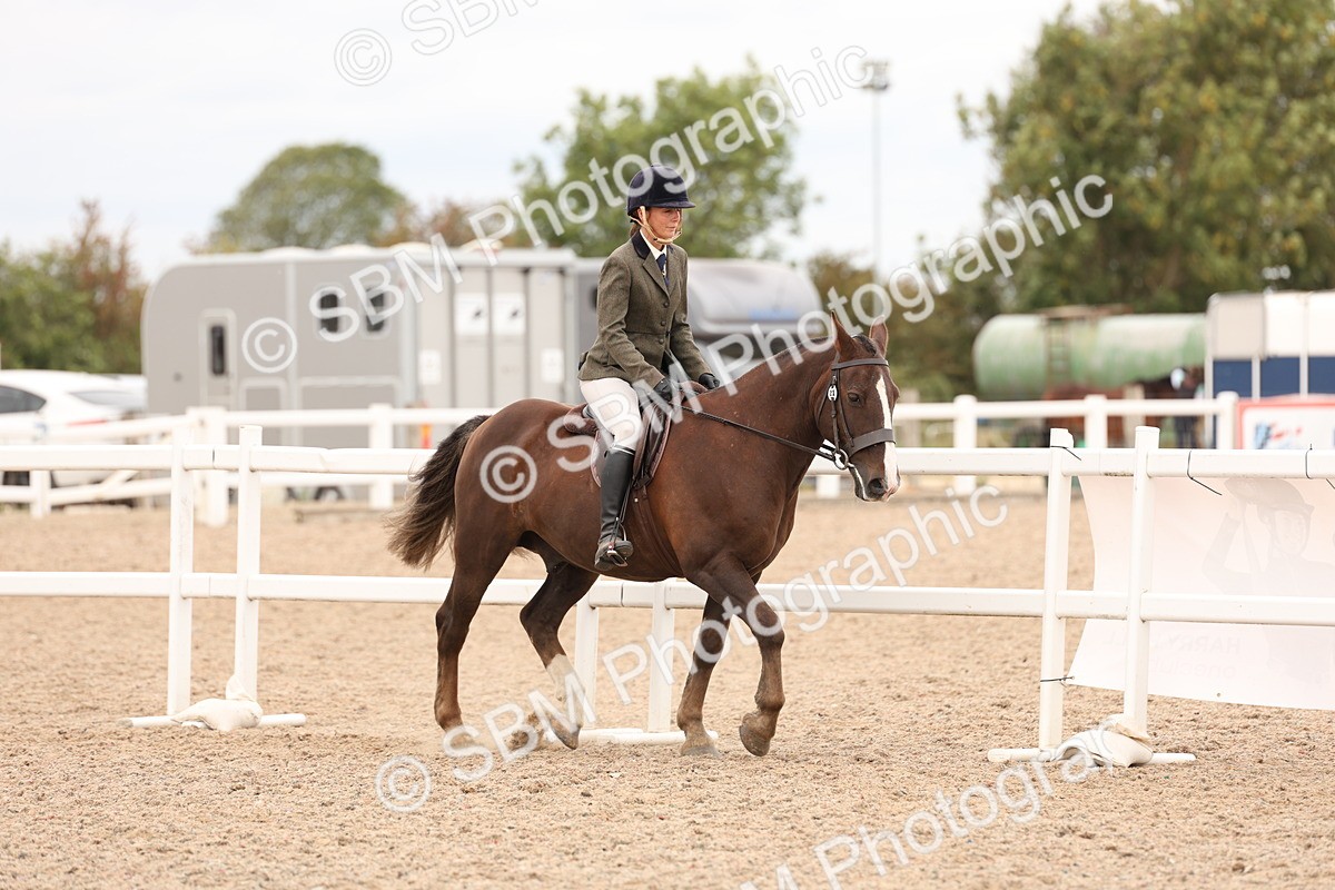 SBM_19523 - Class 215 - Ridden Show cob