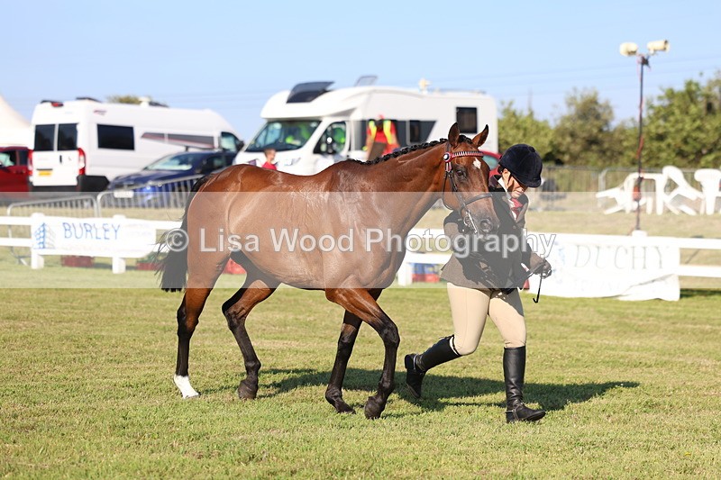 3E7A5163 - Class 1: Rising Star Small Hack/Riding Horses