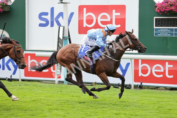 yr18082021r1-64 - Race 1 1.50pm Sky Bet & Symphony Group Stakes