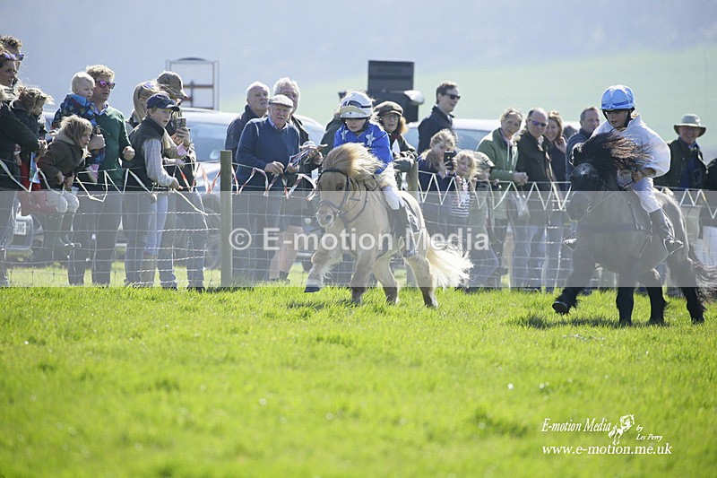 PtP 190322 69 - Wilton Hunt PtP Milborne St Andrew 19/03/22