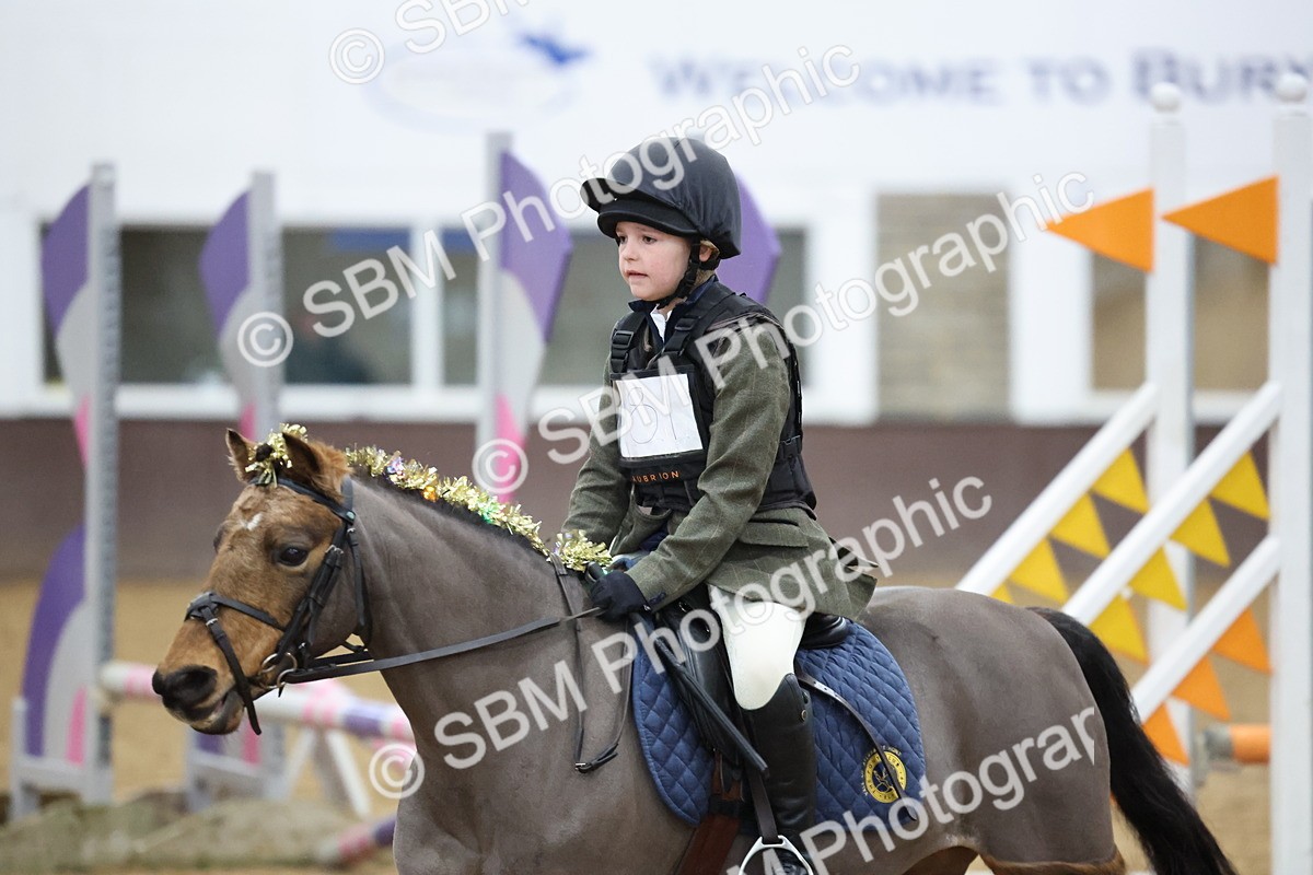SBM_001138 - Class 3 - Christmas Tree Stakes - 60cm