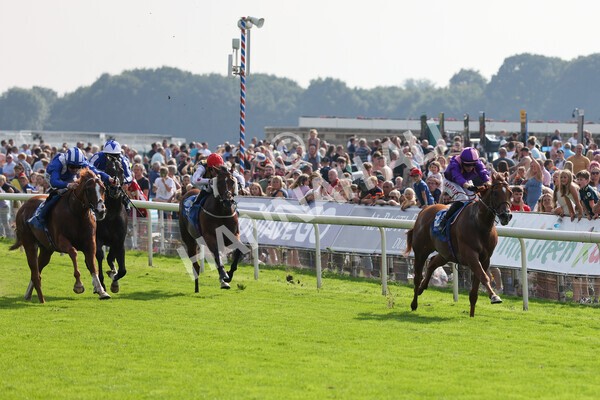 yr05092021r3-10 - Race 3 3.15pm The BioWaveGo Garrowby Stakes