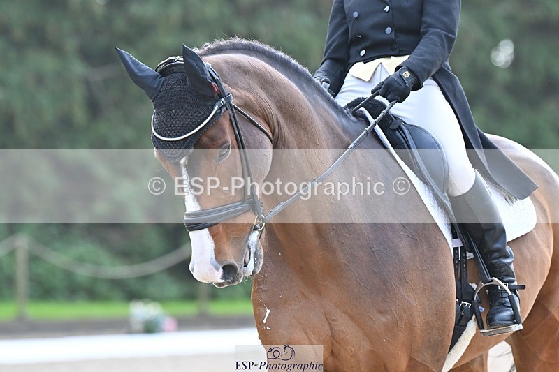 231019-110347-02036 - 105-BRIGHT.KNIGHT.III-Janet.Clarke-DR