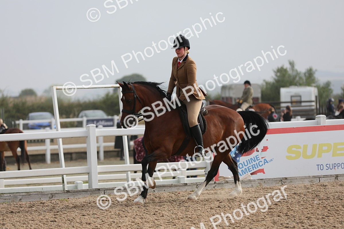 SBM_10080 - Class 302 Ridden M&M -Large Breeds