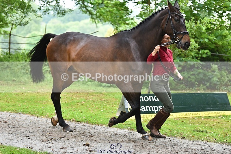 240522-172146-01549 - 254-KILBUNNY_RIOJA-Kate_Penny