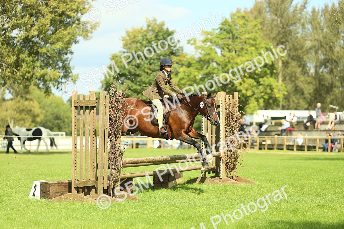 SBM_44585 - S31 - Working Hunter Pony